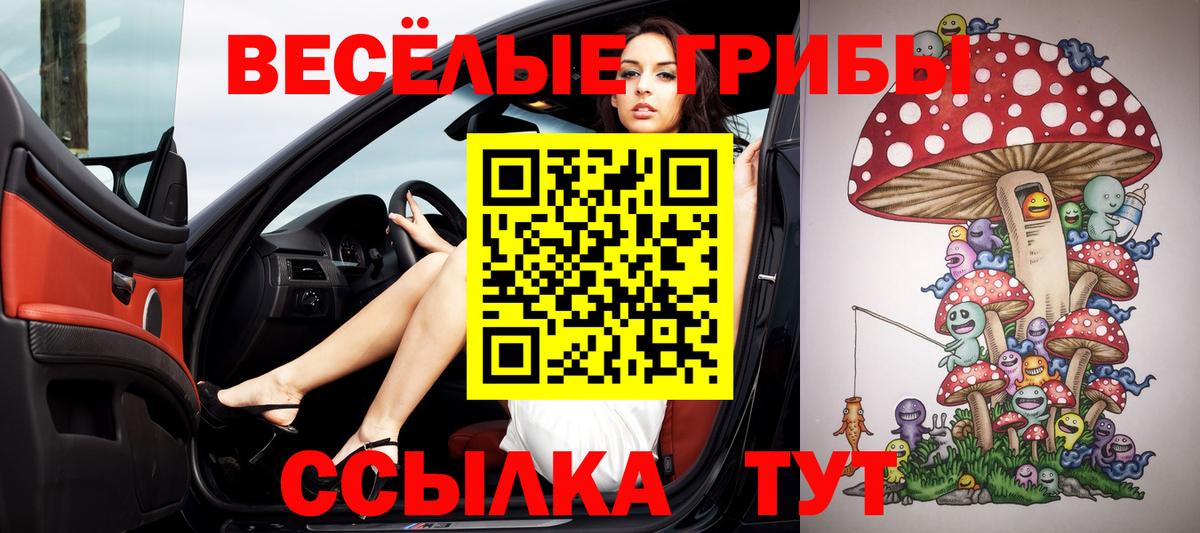 Усть-Джегута  Псилоцибиновые грибы Cubensis  Вход с VPN 