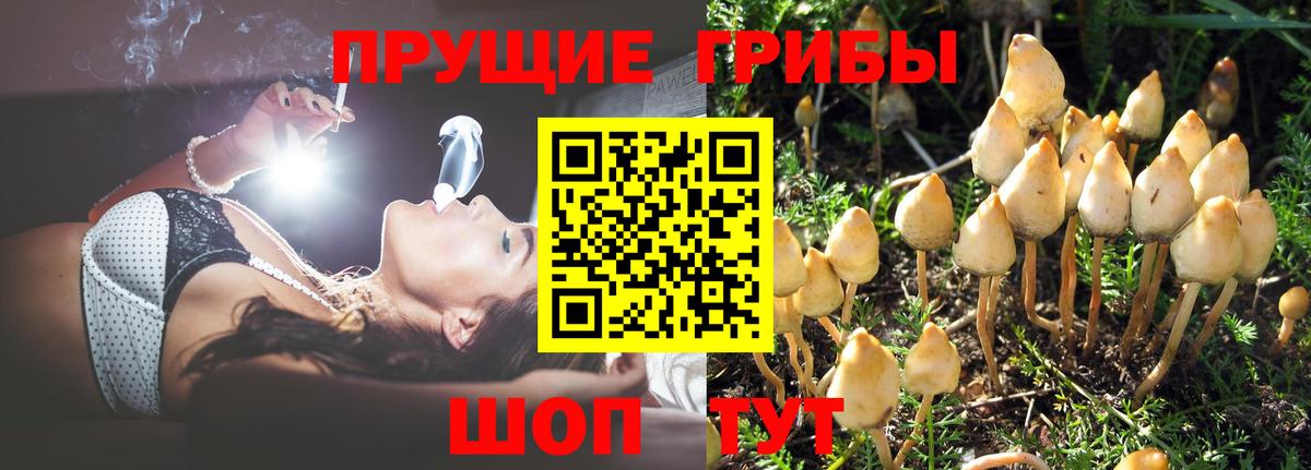 Галлюциногенные грибы ЛСД Усть-Джегута
