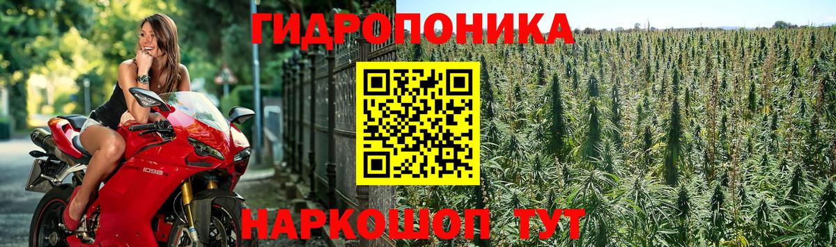 МАРИХУАНА гибрид  Марихуана марихуана  Вход с VPN  Усть-Джегута  Шишки марихуана THC 21%  Канабис OG Kush 